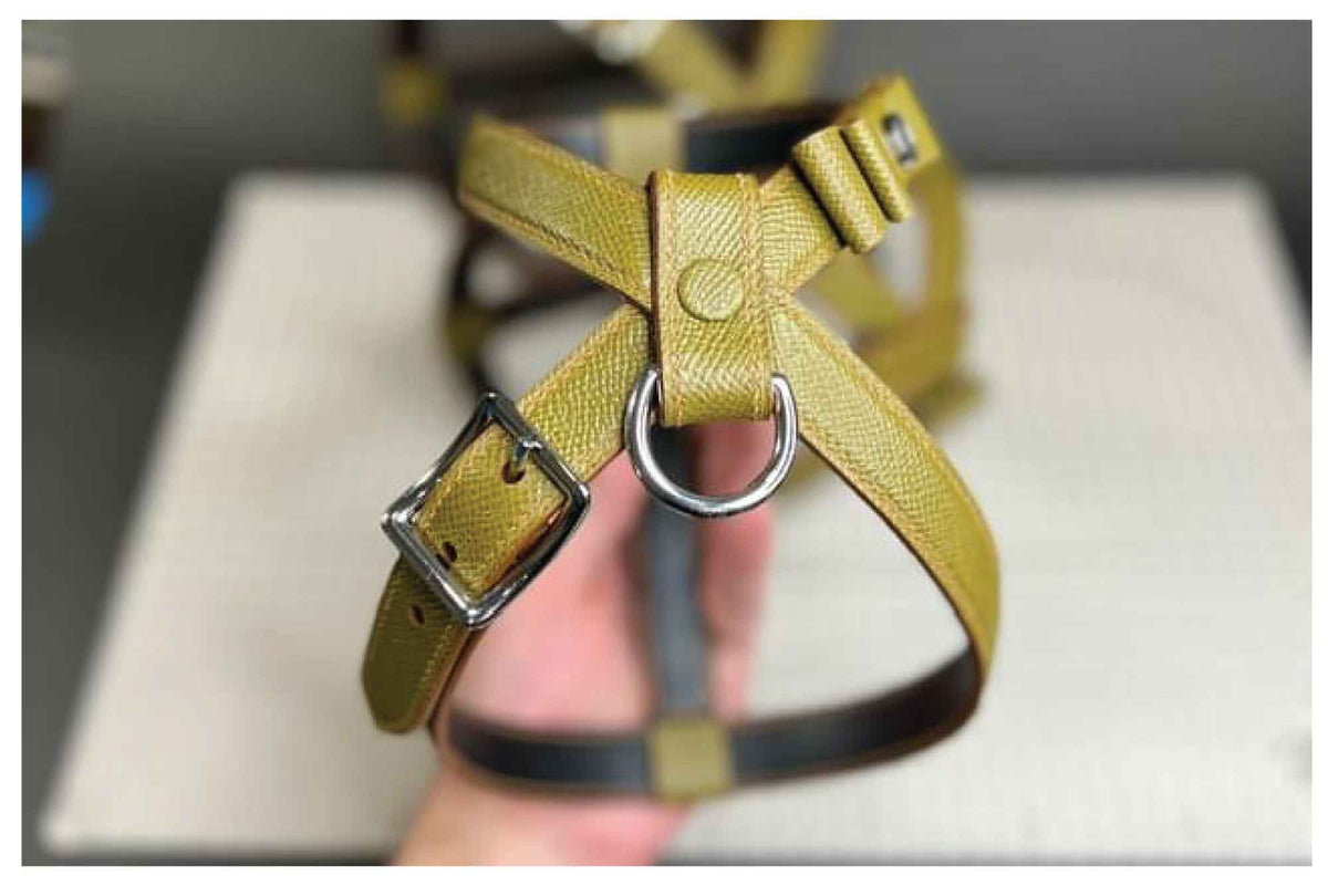 Curved Center Bar Buckle II