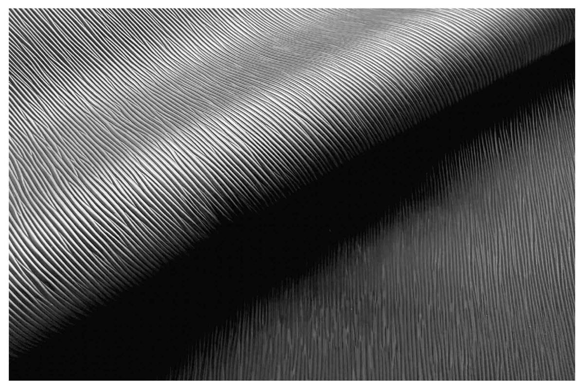 Black Ripple Grain Leather