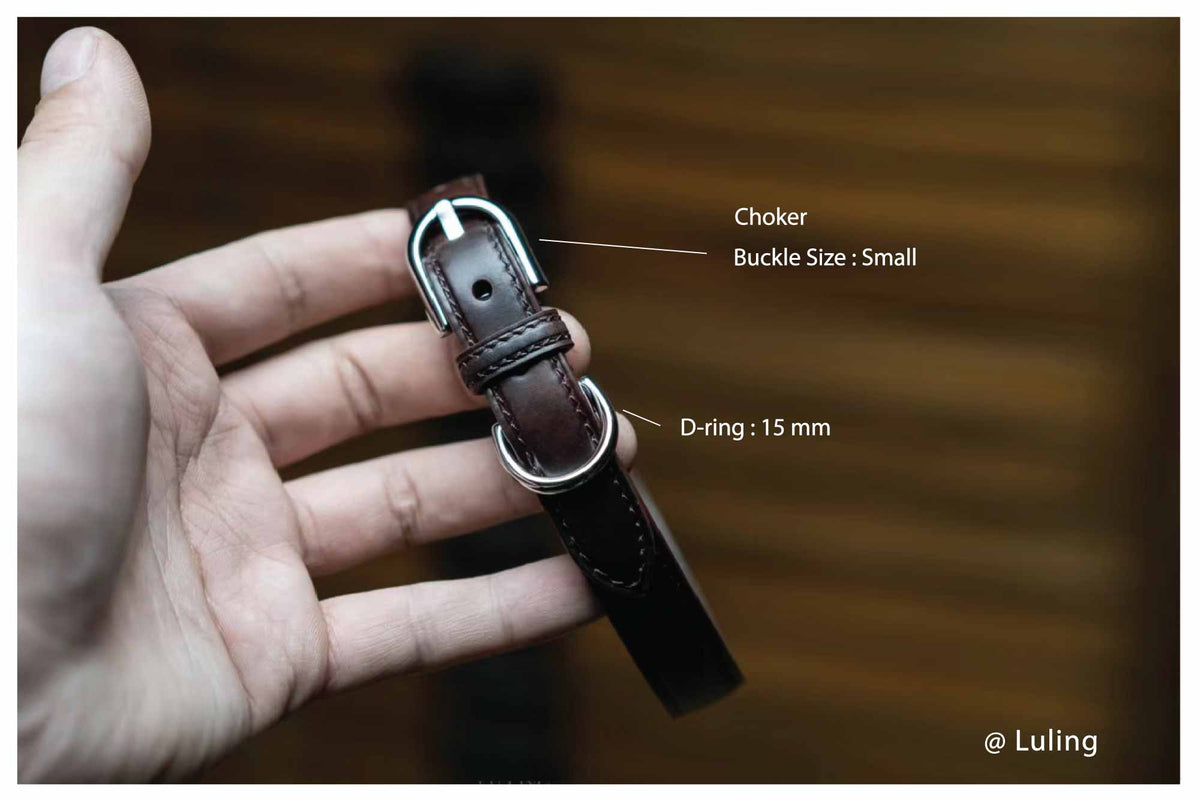 Heel Bar Buckle III