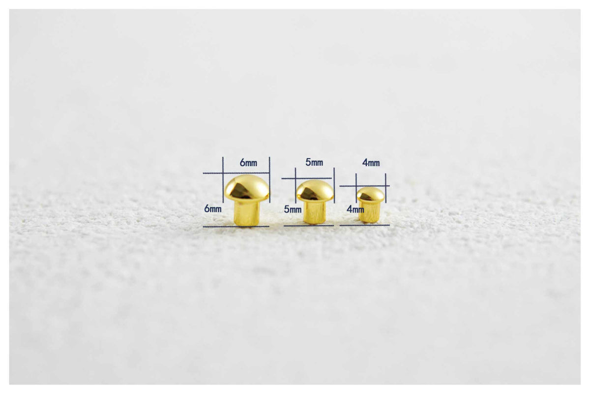 Rivet Screw II
